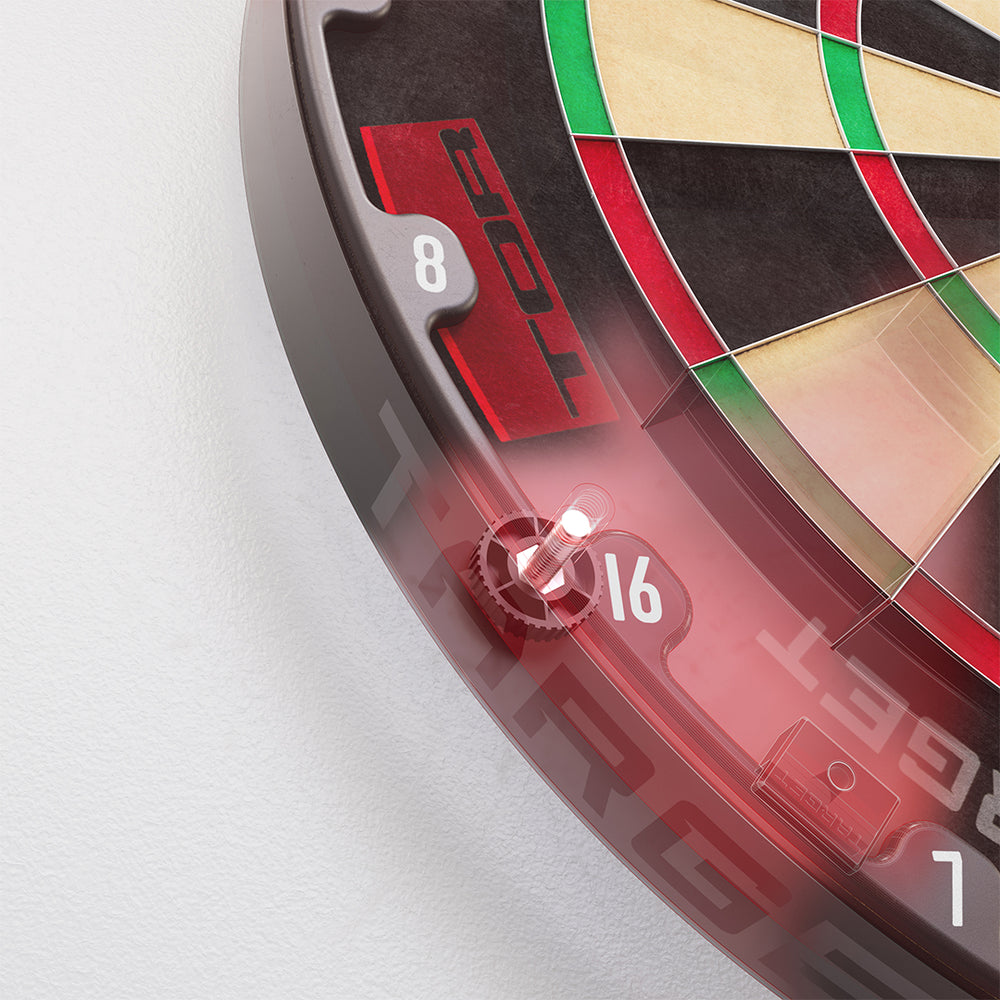 Target Tor professional darts taulu