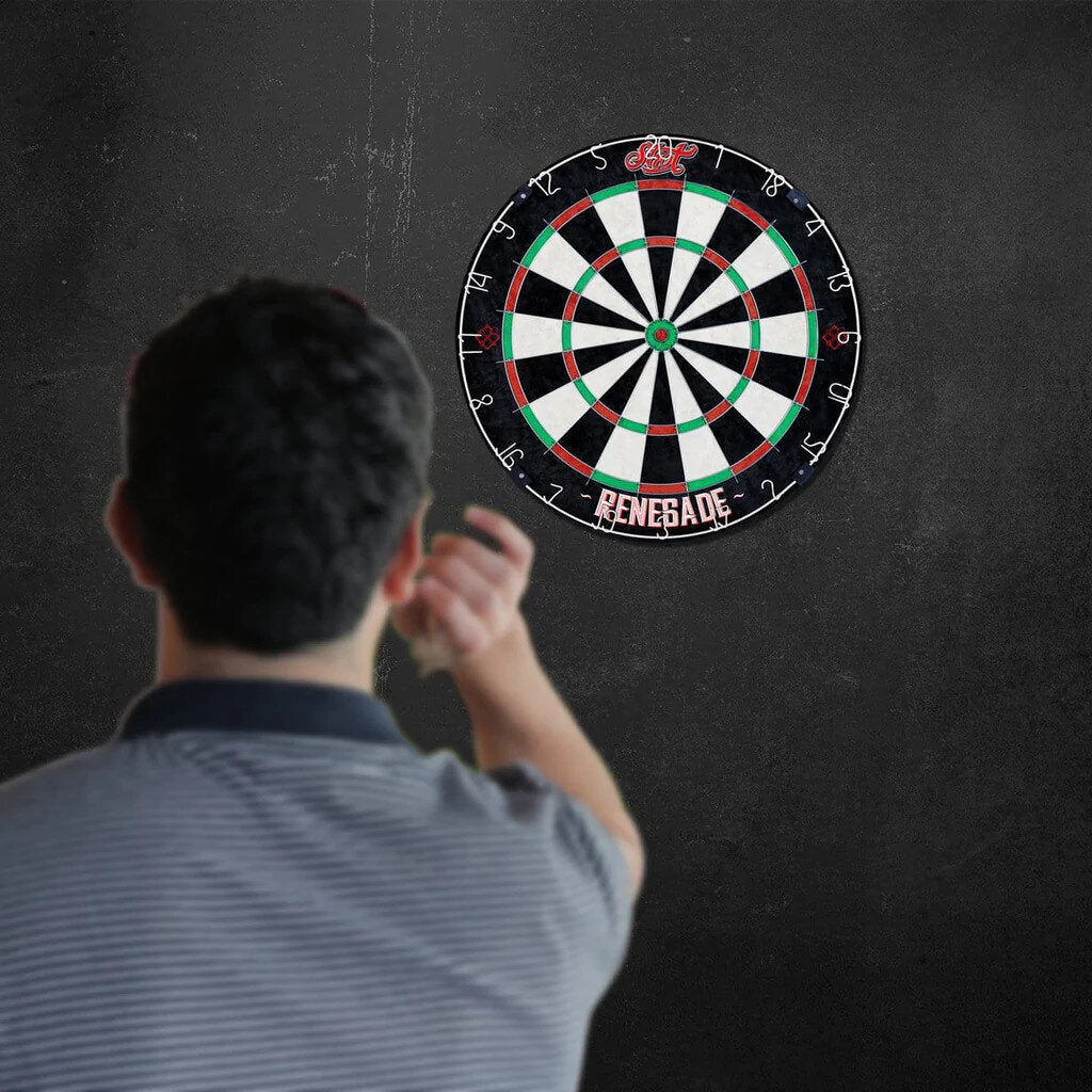 Darts Starter Kit