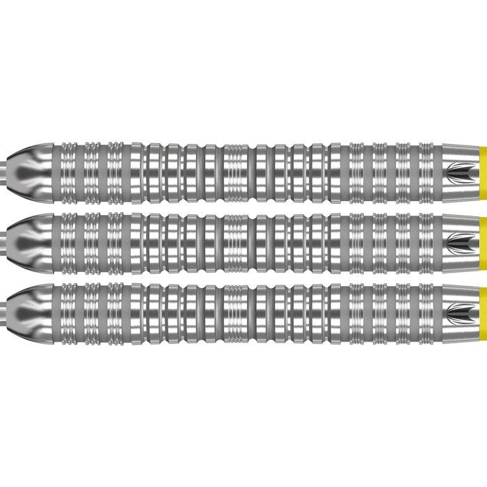 Target Bolide 04 21g 90% tungsten Swiss