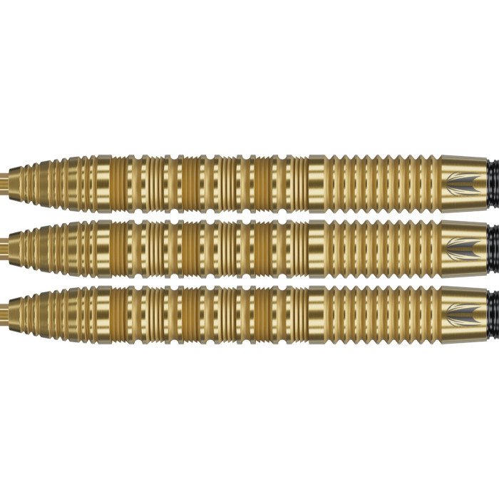 Target Bolide Envy 01 22g 90% tungsten Swiss
