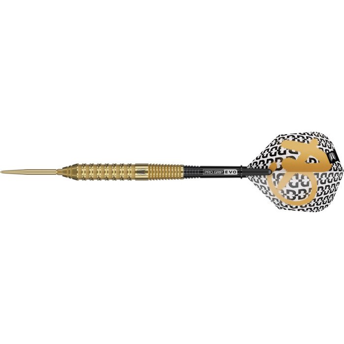 Target Bolide Envy 02 22g 90% tungsten Swiss