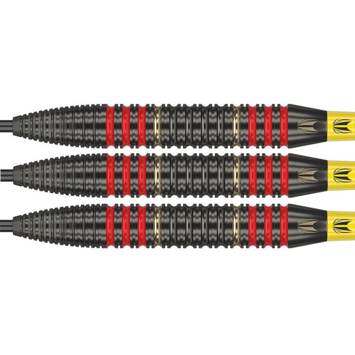 Target Dimitri Van den Bergh 22g darts tikka setti