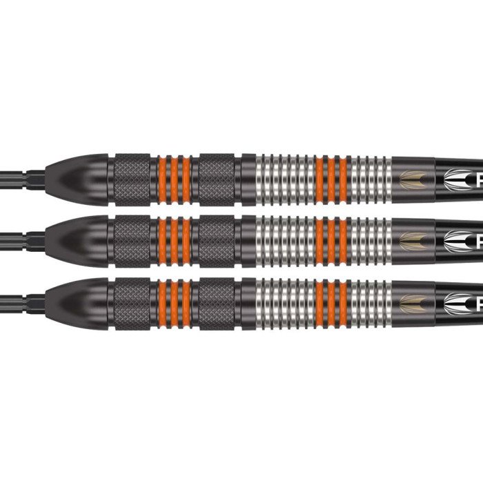 Target Raymond Van Barneveld Black 23g 80% Tungsten Swiss