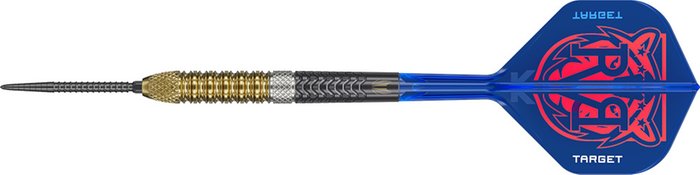 Target Raymond van Barneveld G6 95% Swiss 23g Steeltip