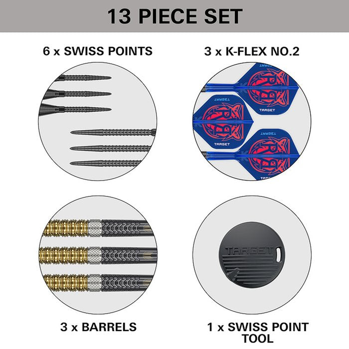 Target Raymond van Barneveld G6 95% Swiss 23g Steeltip
