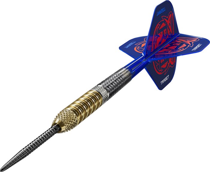 Target Raymond van Barneveld G6 95% Swiss 23g Steeltip