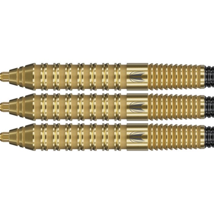 Target Bolide Envy 02 22g 90% tungsten Swiss