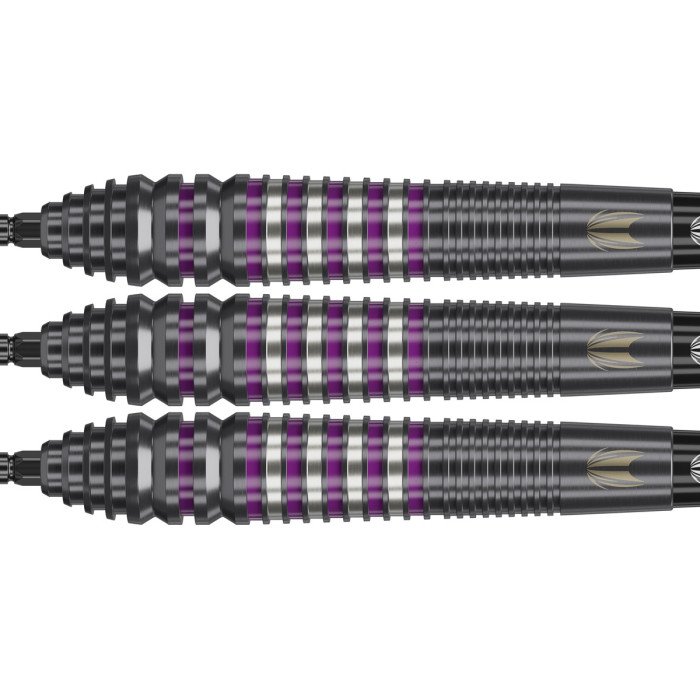 Target Lorraine Winstanley Generation Two 24g - 90% Tungsten SWISS