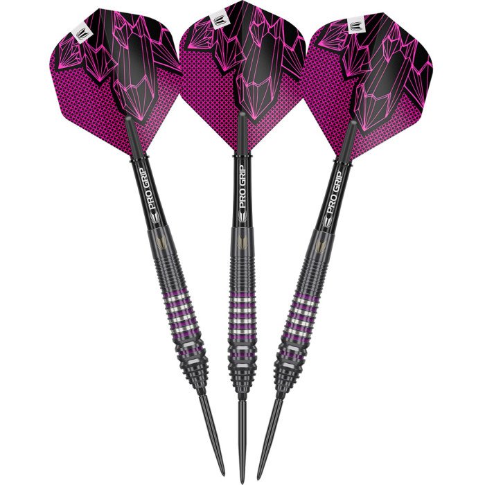 Target Lorraine Winstanley Generation Two 24g - 90% Tungsten SWISS