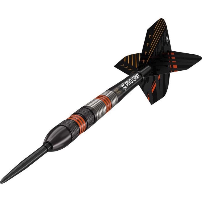 Target Raymond Van Barneveld Black 23g 80% Tungsten Swiss